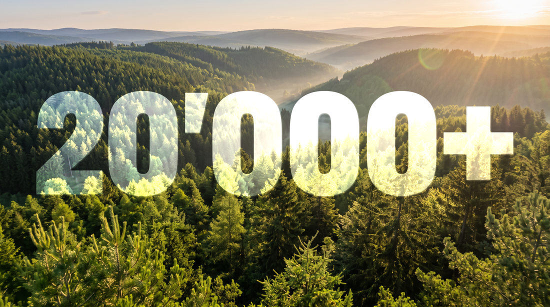 Über 20'000 Bäume gepflanzt: Ein Erfolg, der auch dir gehört
