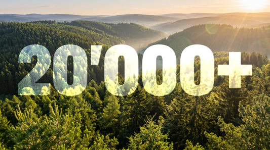 Über 20'000 Bäume gepflanzt: Ein Erfolg, der auch dir gehört